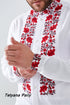 Aeneas embroidered shirt