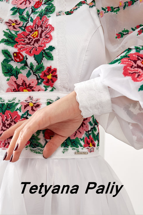 Tina embroidered dress Midi